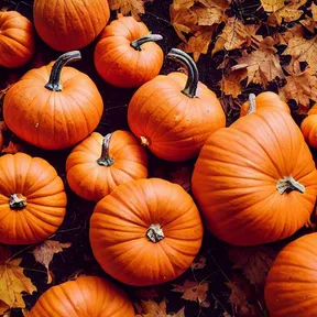 Stockfoto van pompoenen met herfstbladeren